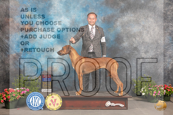 Rhodesian Ridgeback #10 Sat BOSBOW Judge Allen Odom_MJ_0223_SA_2022_HR3