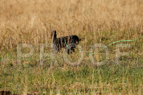 _M3_4314-TlsaApr2014-HR