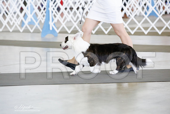 _CK_8065-DallasJul2014-HR3