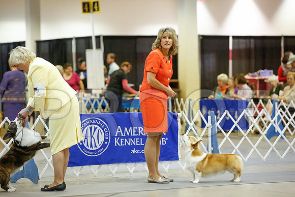_JN_8249-AmarilloSept2014-HR3