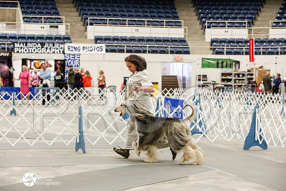 _JJ_9989-AblnMay2014-web