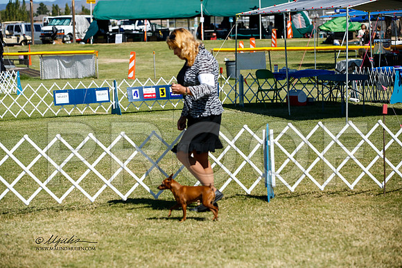 _JJ_3415-AlamogordoOct2014-HR3