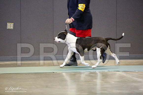 _LH_3502-BeltonJan2015-HR3
