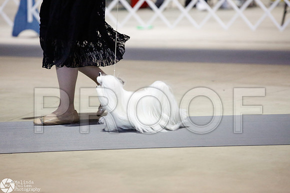_JJ_3701-SanAntonioJul2014-HR
