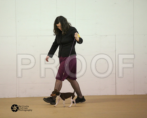 AmHrlss-9802-HtoJan2014-HR3
