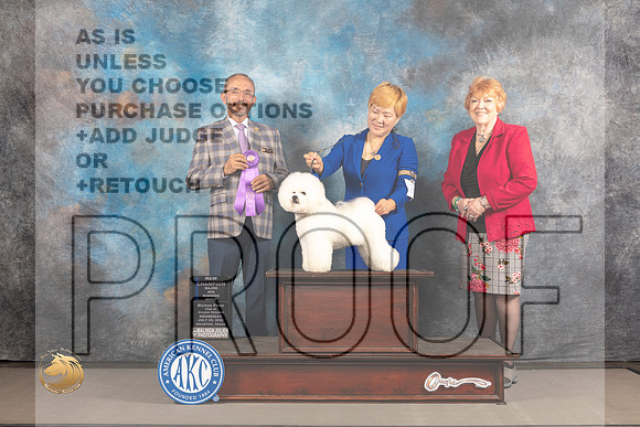 Bichon Frise #26 WED NCH WB Major Judge Timothy Catterson_MJ_1926_Houston_2022_HR3