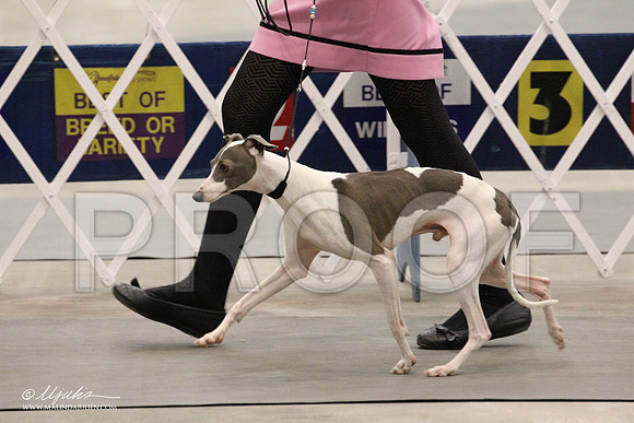 IMG_7603-Abilene2011-HR3