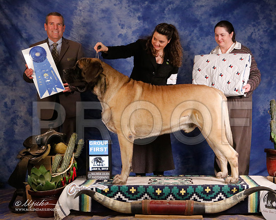 Mastiff-5364-GRJan14-HR