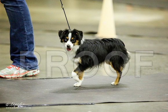 _JJ_6744-BeltonJan2015IABCA-HR3