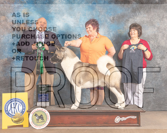 Akita #23  Fri AOM Judge Hal Biermann-MMJ_7057-FW2022-HR3