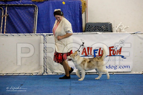_M3_9322-AddisonHuskyMar2015-HR3