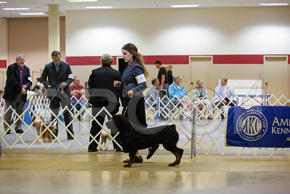 _JN_6688-AmarilloSept2014-HR3