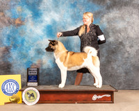 Akita #26 Fri SB Judge Hal Biermann