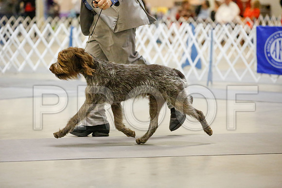 _JJ_7041-AmarilloSept2014-HR3