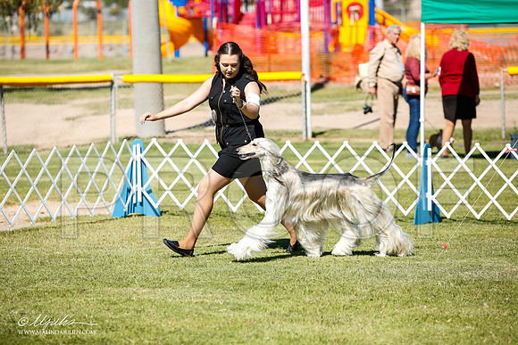 _JJ_5621-AlamogordoOct2014-HR3