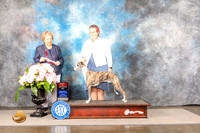 Whippet #27 Sun BOS Judge Polly Smith