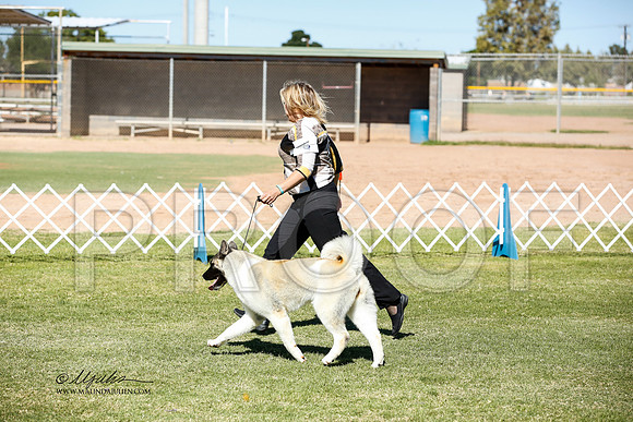 _JN_0655-AlamogordoOct2014-HR3