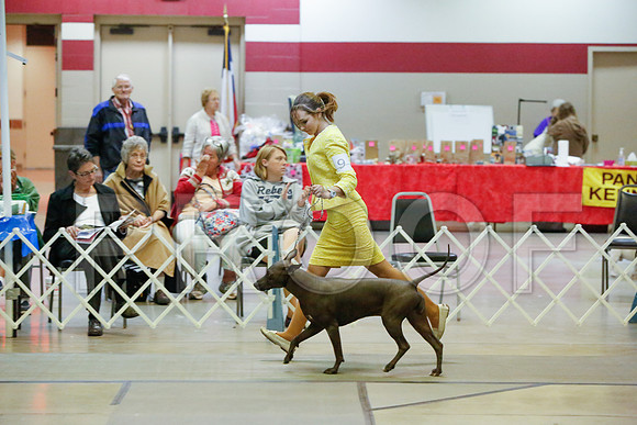 _JJ_4774-AmarilloSept2014-HR3