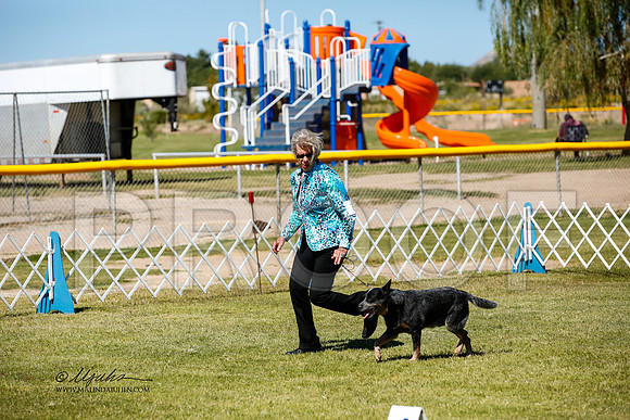 _JJ_3821-AlamogordoOct2014-HR3