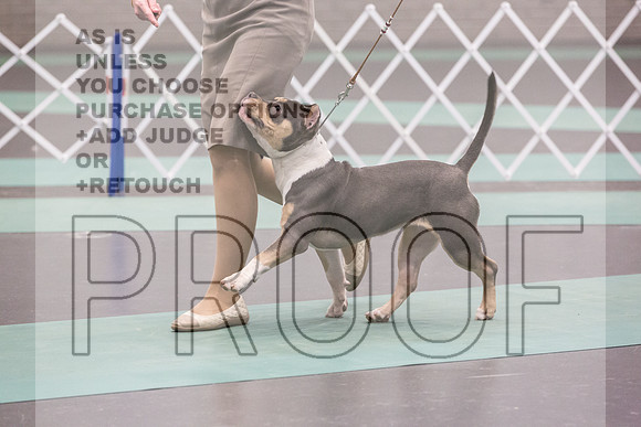 Bully Sat Rings_JJL_0323_UKCLNGVIEWOCT2024_2024_HR3