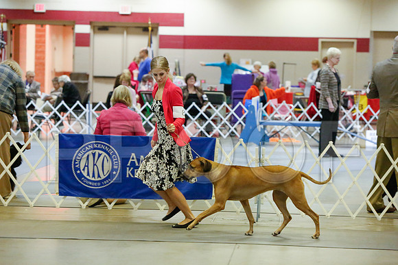 _JJ_3794-AmarilloSept2014-HR3