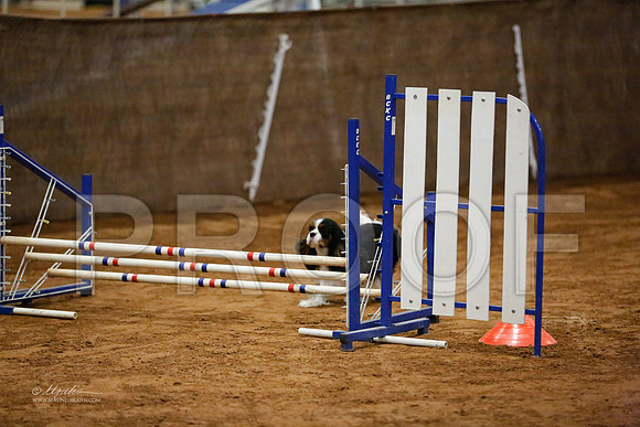 JNov12S-2674-BltnANov13-HR