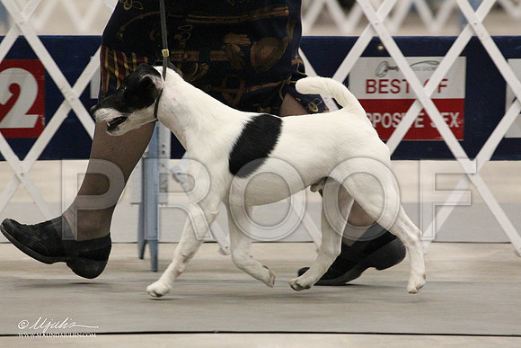 IMG_8007-Abilene2011-HR3