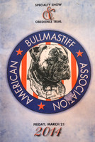 Bullmastiff Specialty Fort Worth Mar 2014