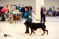 Rottweiler Sun Ring