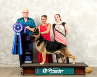 German Shepherd Dog #209 Wed BISS Judge Karen Cattin