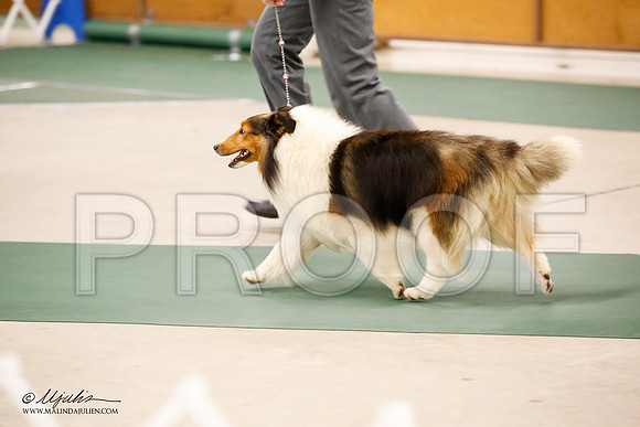 _JN_1670-NrmnNov2014-HR3