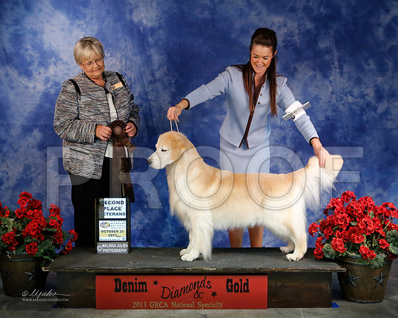 Vet-8372-WFOct2013-HR