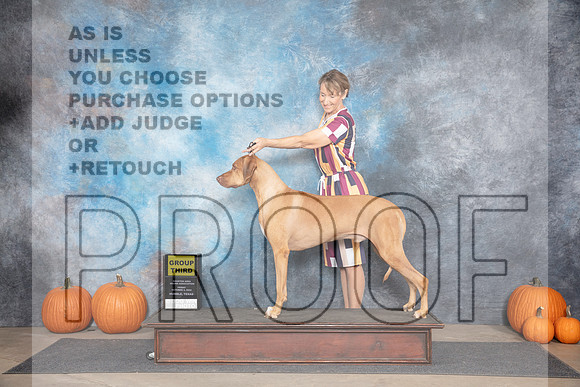 Rhodesian Ridgeback #9 Fri G3 Judge Ann Meyer__JP_9117_Humble_2024_HR3