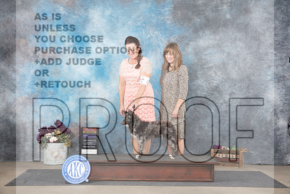 Mudi #6 Sat WBBOSNCH Judge Del Richards__JP_7108_Belton_2024_HR3