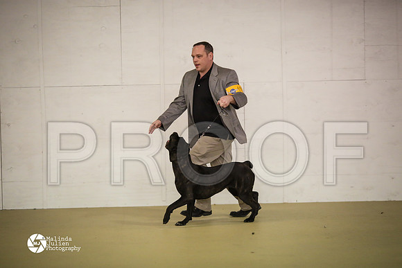 Cane-7410-HtoJan14-HR