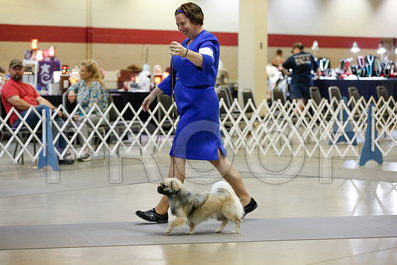 _JJ_0098-AmarilloSept2014-HR3