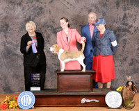 Ann M Wolf Marshall 2025