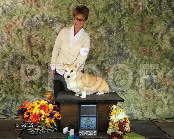 CorgPW-7640-SANov13-HR