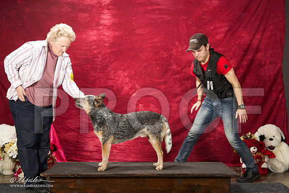 _ST_2926-BeltonJan2015IABCA-HR3