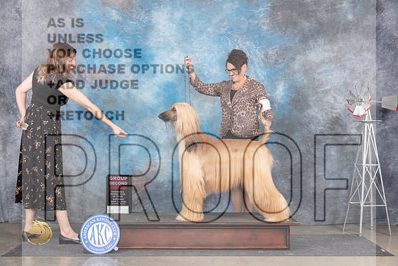 Afghan Hound #6 Sat G2 Judge Pat Trotter__JP_5986_Amarillo_2024_HR3
