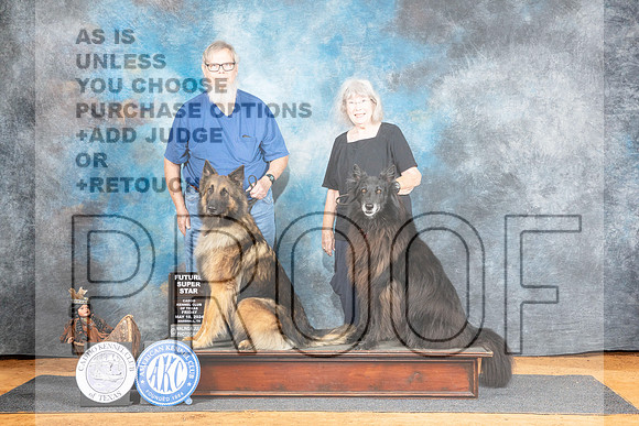 Belgian Sheepdog Nan Sanders__JP_7101_MARSHALL_2024_HR3