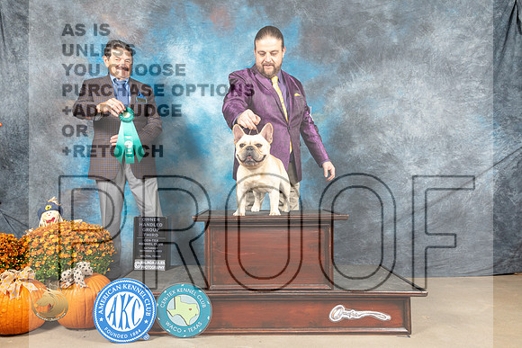 French Bulldog #11 Sat OHG3 Judge Lloyd Graser_MJ_6002_Belton_2022_HR3