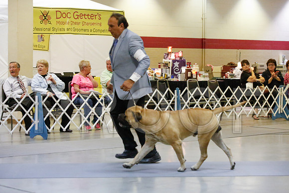 _JJ_9789-AmarilloSept2014-HR3