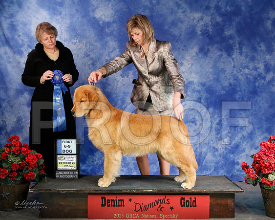 6-9D-5276-WFOct2013-HR