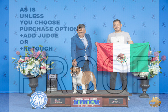 Bulldog #25 FRI BOW M Judge Sandra Lex__JP_0182_Houston_2024_HR3