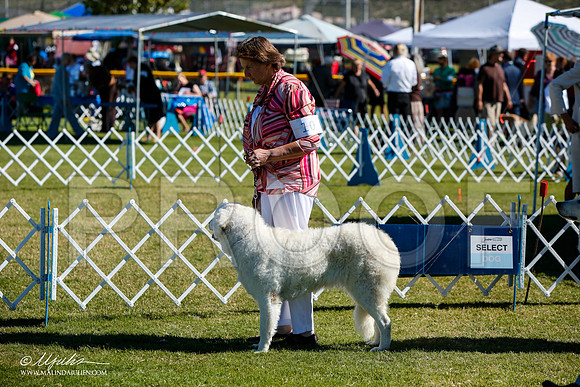 _JJ_4536-AlamogordoOct2014-HR3
