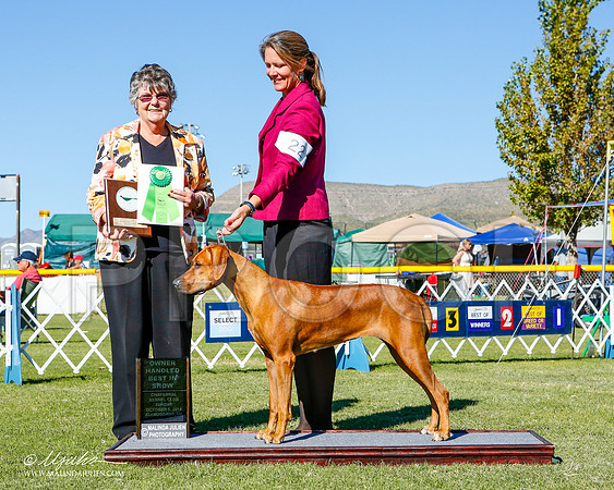 _ST_3285-2-AlamogordoOct2014-HR3
