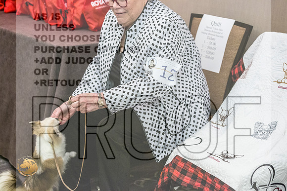 Chihuahua Long Coat #12 FriJJL_3808_HstnTOY_2022_HR3