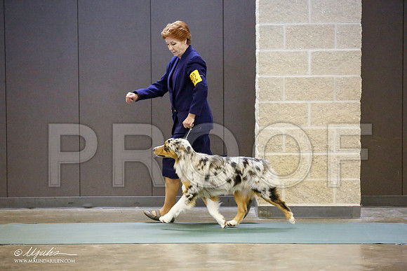 _JN_2792-BeltonJan2015-HR3