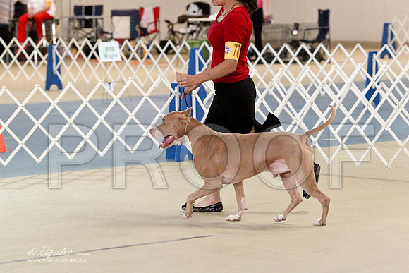 APBT-2954LR